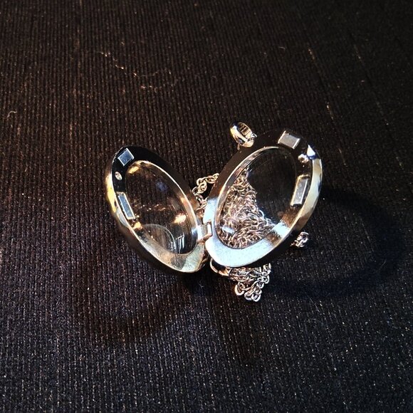 See-Through Locket and a Pair of Nautical and Geometric Drop Leaf Earrings - Picture 6 of 14